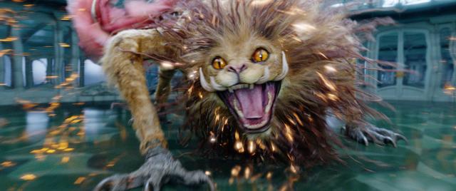 f:id:kajimao:20210611152601j:plain