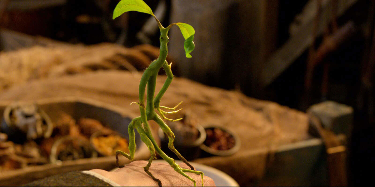 f:id:kajimao:20210611154157j:plain