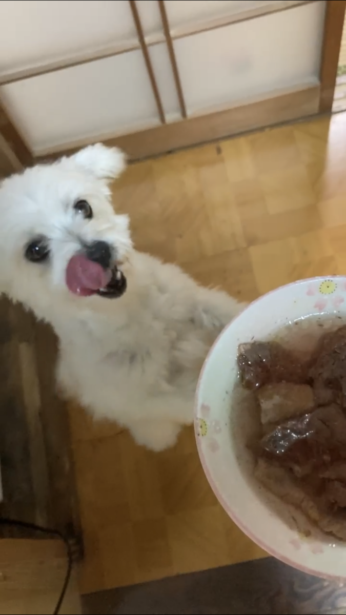 f:id:kajimao:20210818230347p:plain