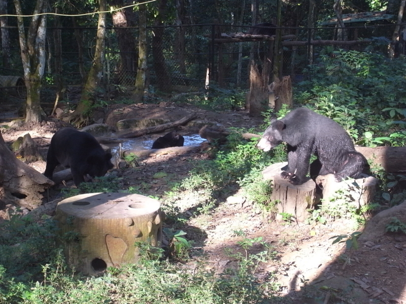f:id:kajimarug:20121204154838j:image:w360