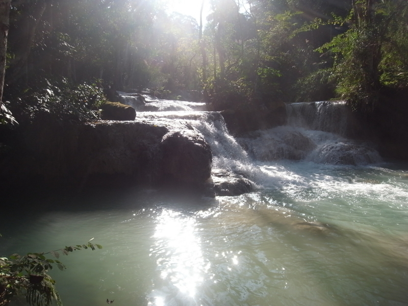 f:id:kajimarug:20121204155956j:image:w360