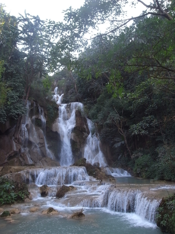 f:id:kajimarug:20121204162105j:image:w360