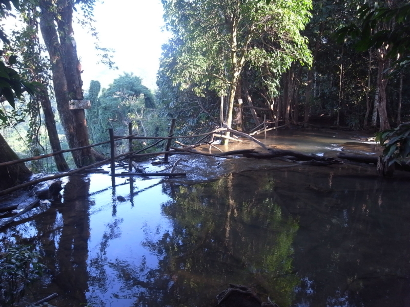 f:id:kajimarug:20121204164723j:image:w640