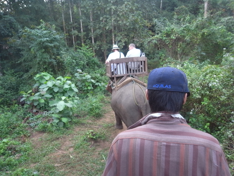 f:id:kajimarug:20121205100954j:image:w360