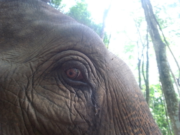 f:id:kajimarug:20121205103848j:image:w360
