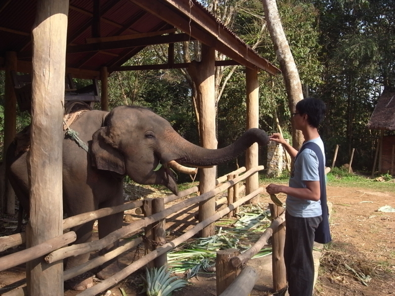 f:id:kajimarug:20121205110616j:image:w360