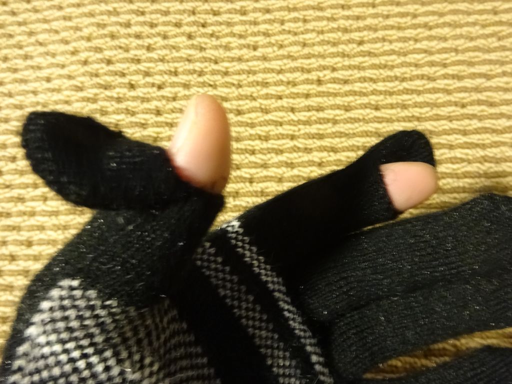 f:id:kajimo_hkd:20161106181252j:plain:w400