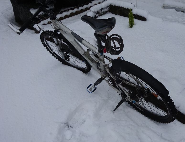 家 の 中 に 自転車