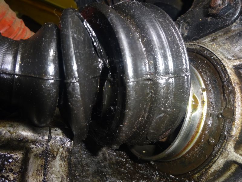 f:id:kajimo_hkd:20190211210850j:plain:w450