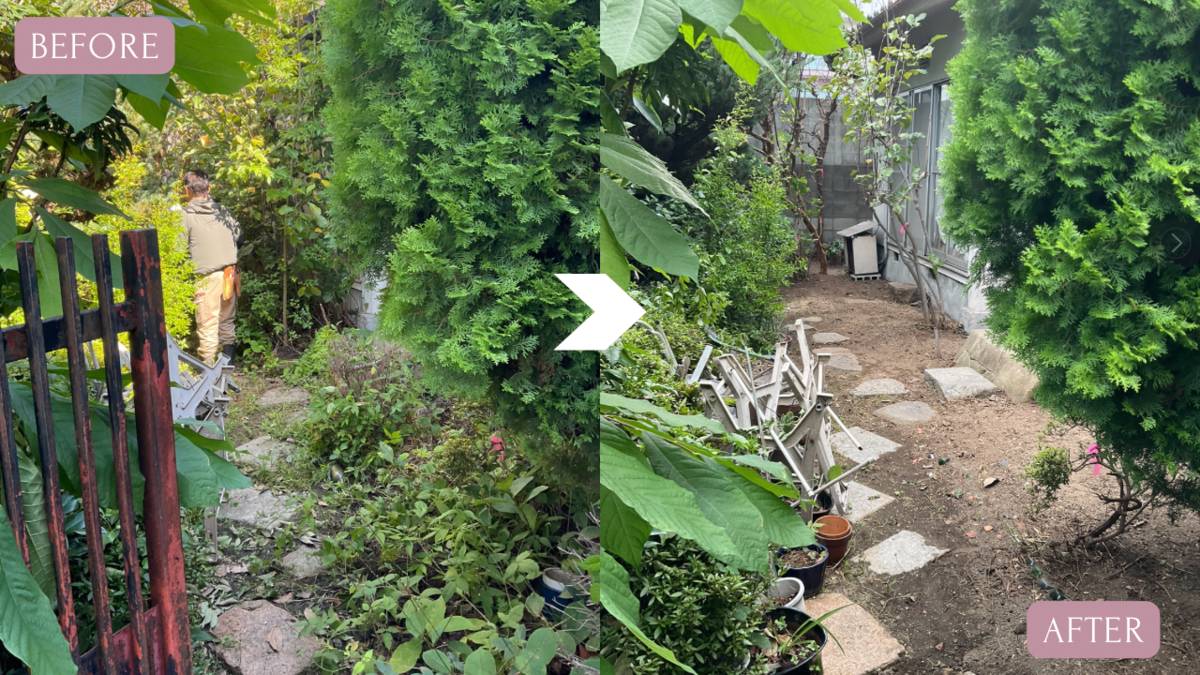 リノベーション解体工事前に庭の植栽撤去作業のbefore after