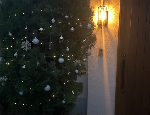 庭木をクリスマスツリーにした画像