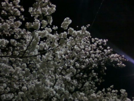 f:id:kajitex:20120409212742j:image f:id:kajitex:20120409212742j:image