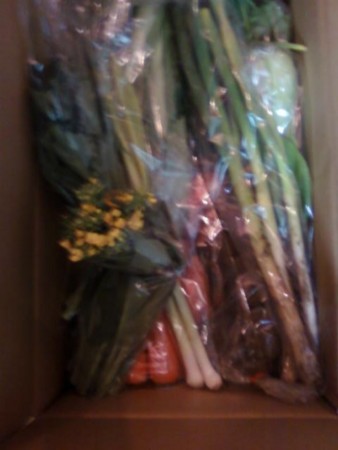 f:id:kajitex:20120418001310j:image f:id:kajitex:20120418001310j:image