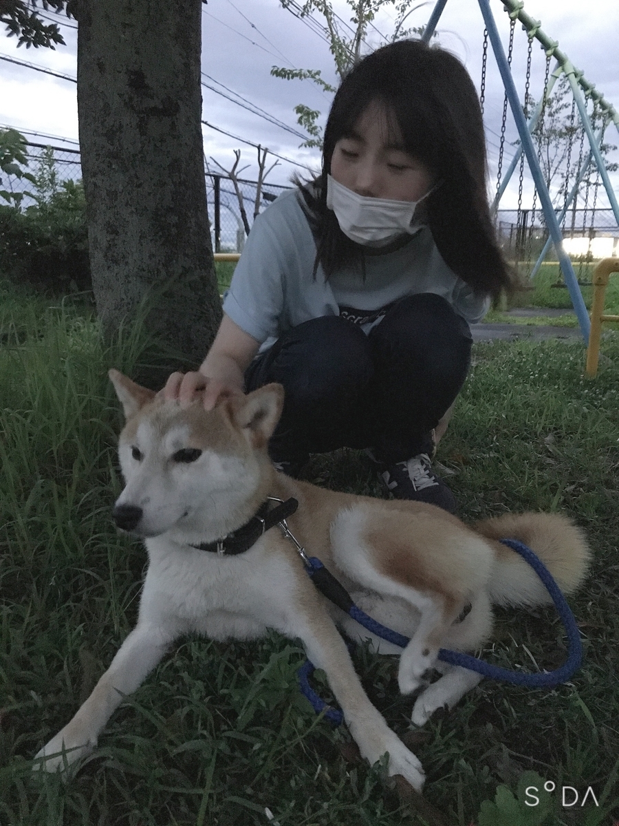 f:id:kajunoie:20210830112844j:plain