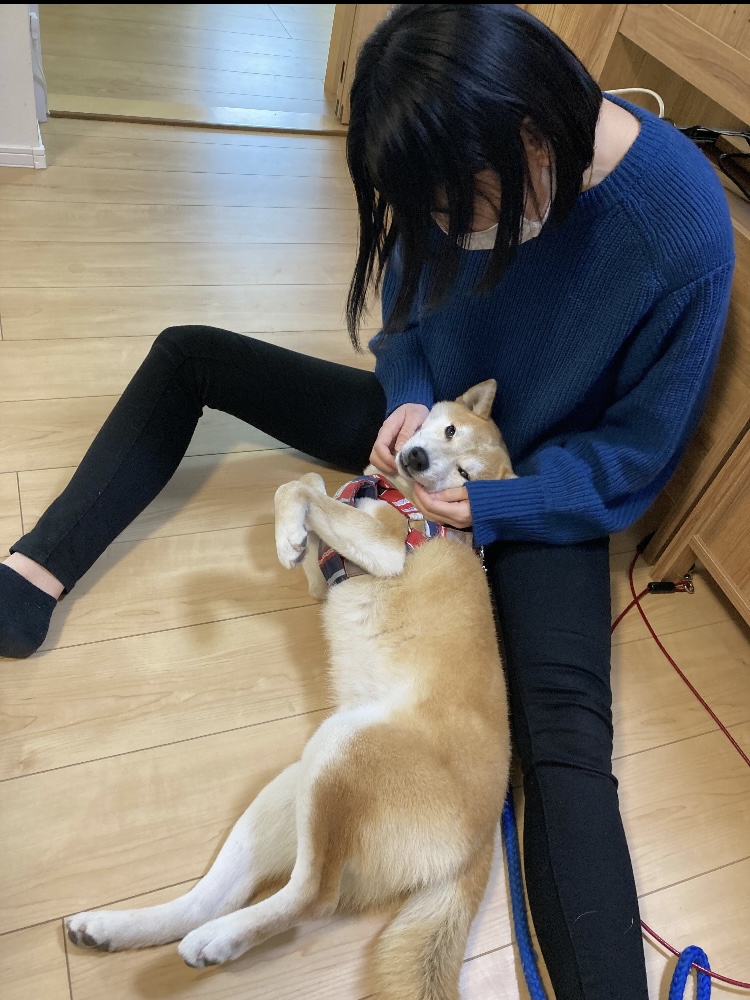 f:id:kajunoie:20220224232058j:plain