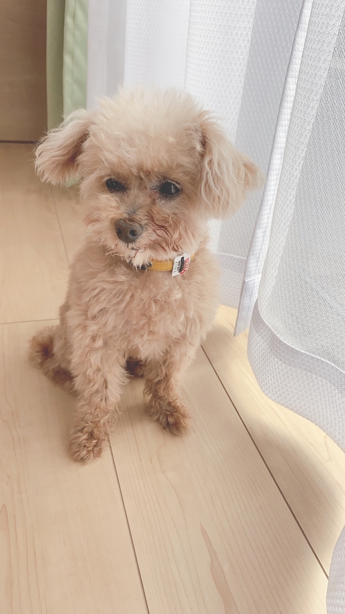 f:id:kajunoie:20220225000603j:plain