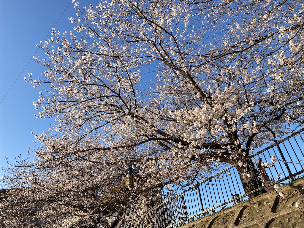 f:id:kajunoie:20250415121348j:image