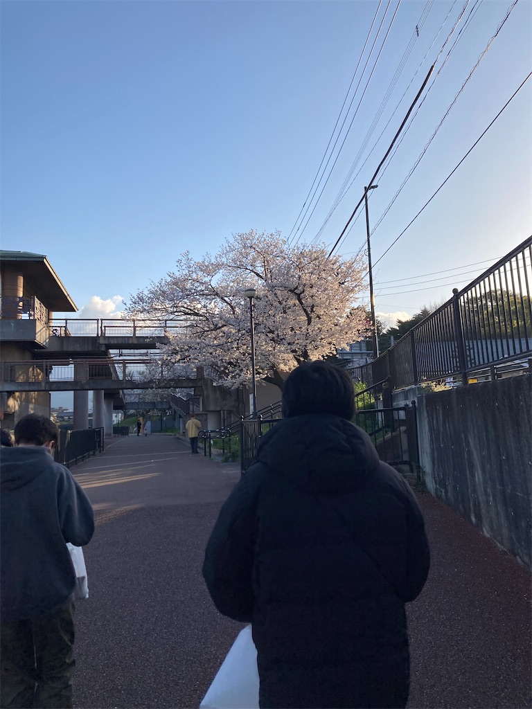 f:id:kajunoie:20250415121839j:image