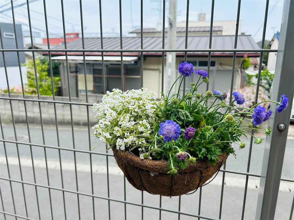 f:id:kajunoie:20250509072406p:image