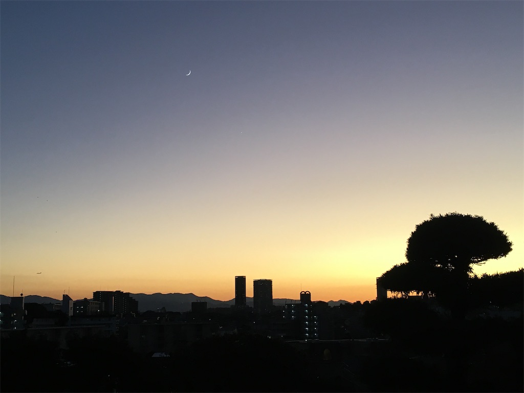 f:id:kajunoie:20250531082924j:image
