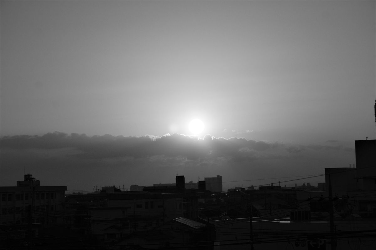 f:id:kakadaisyou:20210530110410j:plain