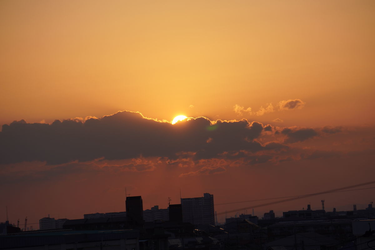 f:id:kakadaisyou:20210530114217j:plain