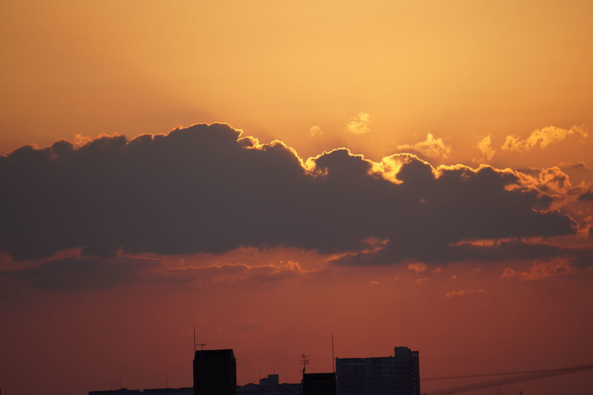 f:id:kakadaisyou:20210530114252j:plain