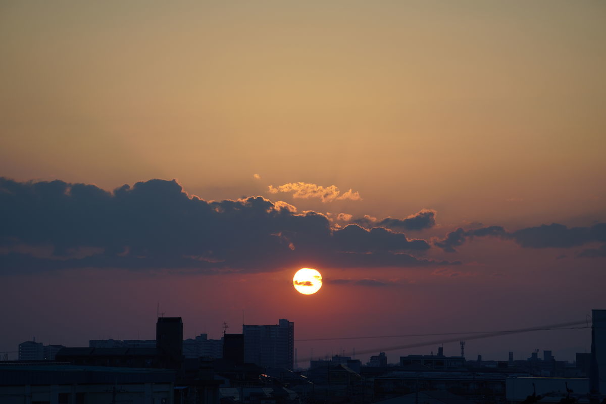 f:id:kakadaisyou:20210530114325j:plain