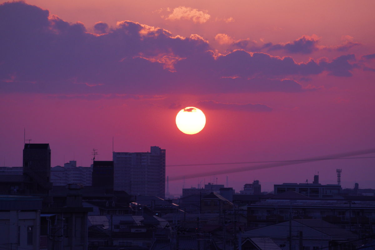 f:id:kakadaisyou:20210530114357j:plain