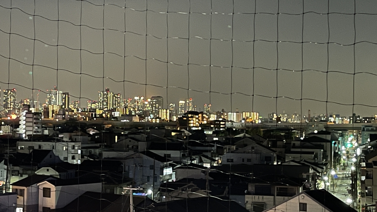f:id:kakaist:20201207214757j:plain