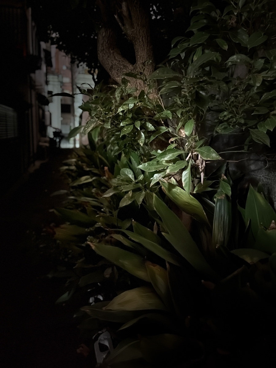 f:id:kakaist:20201209003403j:plain