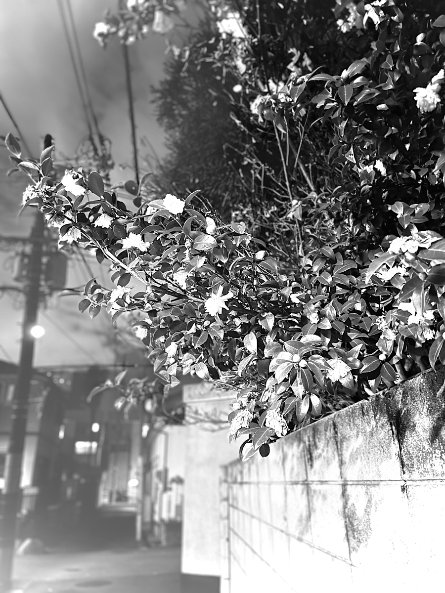 f:id:kakaist:20201225235402j:plain