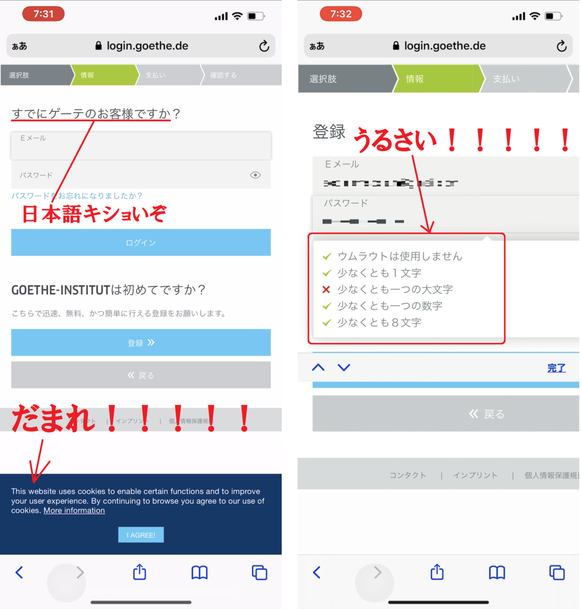 f:id:kakaist:20210125123119p:plain
