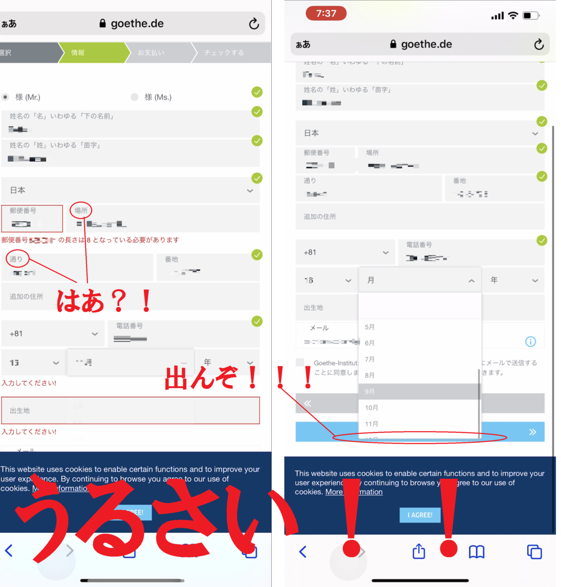 f:id:kakaist:20210125124906p:plain