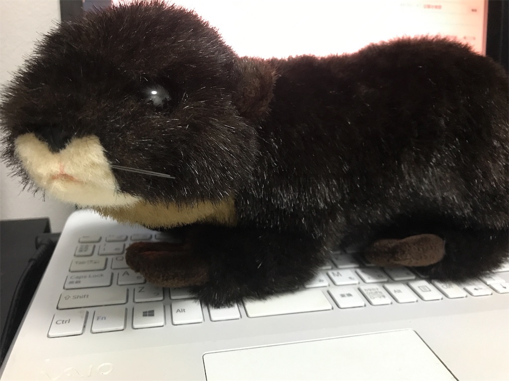 f:id:kakakakaneko:20190211214106j:plain f:id:kakakakaneko:20190211214106j:plain