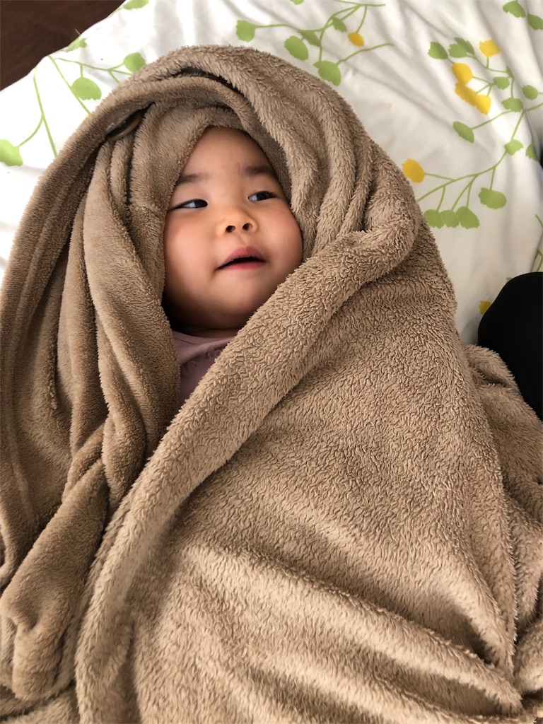 f:id:kakakamari:20190707131043j:image f:id:kakakamari:20190707131043j:image