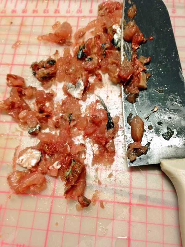 f:id:kakashibennett:20141122164844j:plain