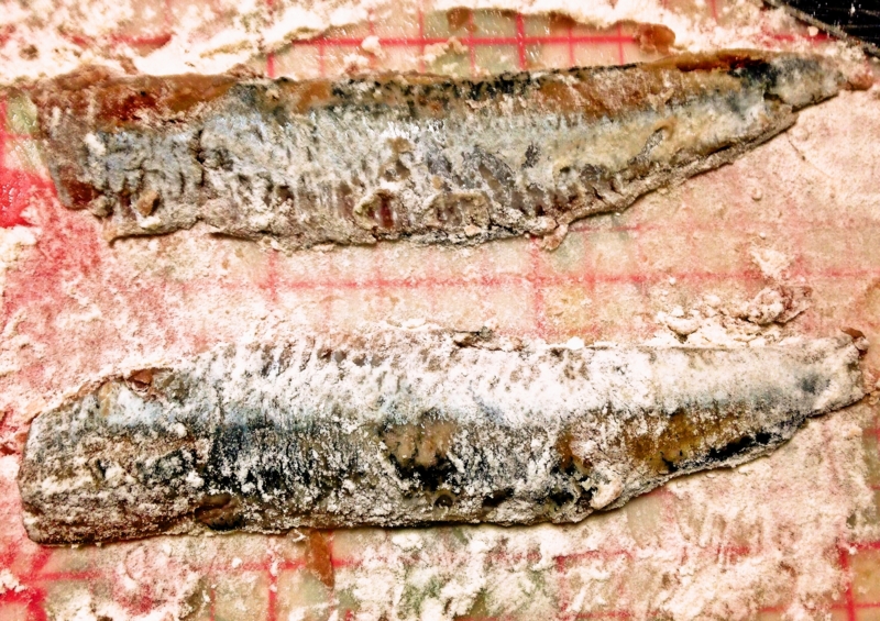 f:id:kakashibennett:20150309153108j:plain