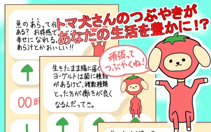 f:id:kakashibennett:20150331104852p:plain f:id:kakashibennett:20150331104852p:plain