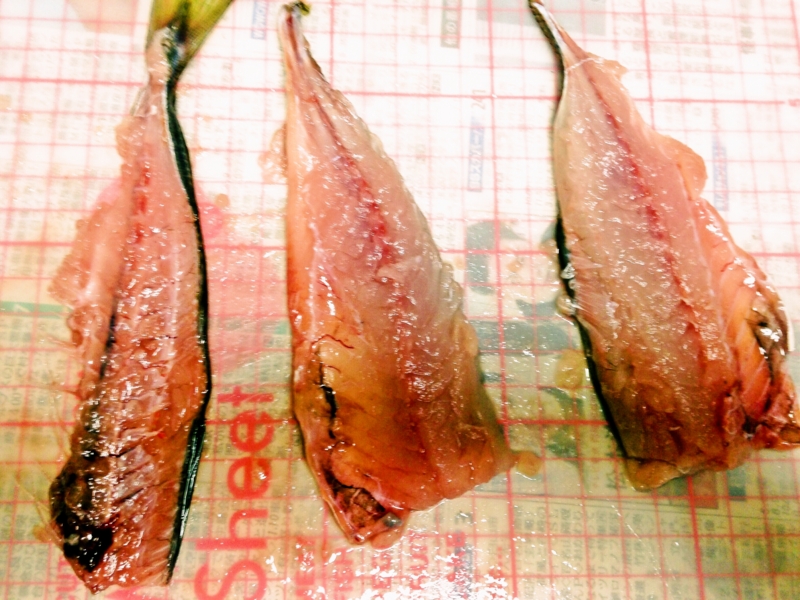 f:id:kakashibennett:20150423163029j:plain f:id:kakashibennett:20150423163029j:plain