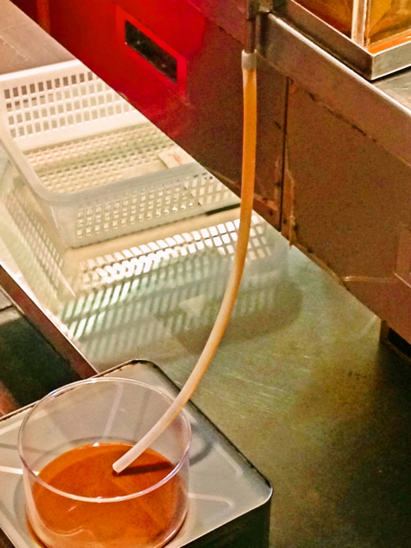 f:id:kakashibennett:20150527172653j:plain f:id:kakashibennett:20150527172653j:plain