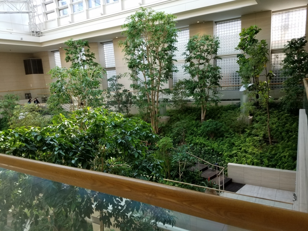 f:id:kakashibennett:20170630143634j:plain