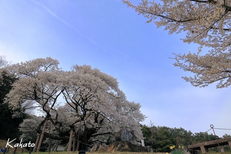 イメージ 3