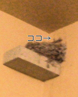 5zi97muxnjoqr1n1454549300_1454549_2