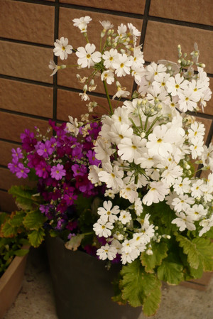 P1020004_2