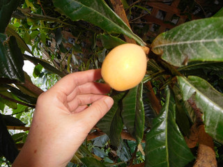 Dscn0622_2