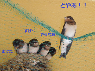 Photo_2 Photo_2