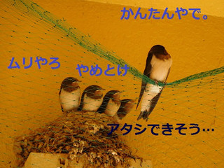 Photo_3 Photo_3