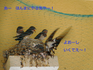 Photo_4 Photo_4