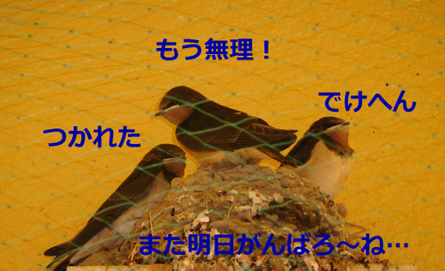 Photo_5 Photo_5